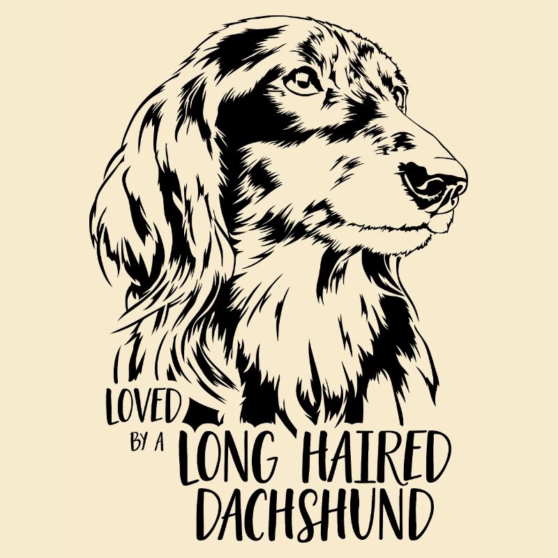 Loved by a Long Haired Dachshund Hundespruch Hunde