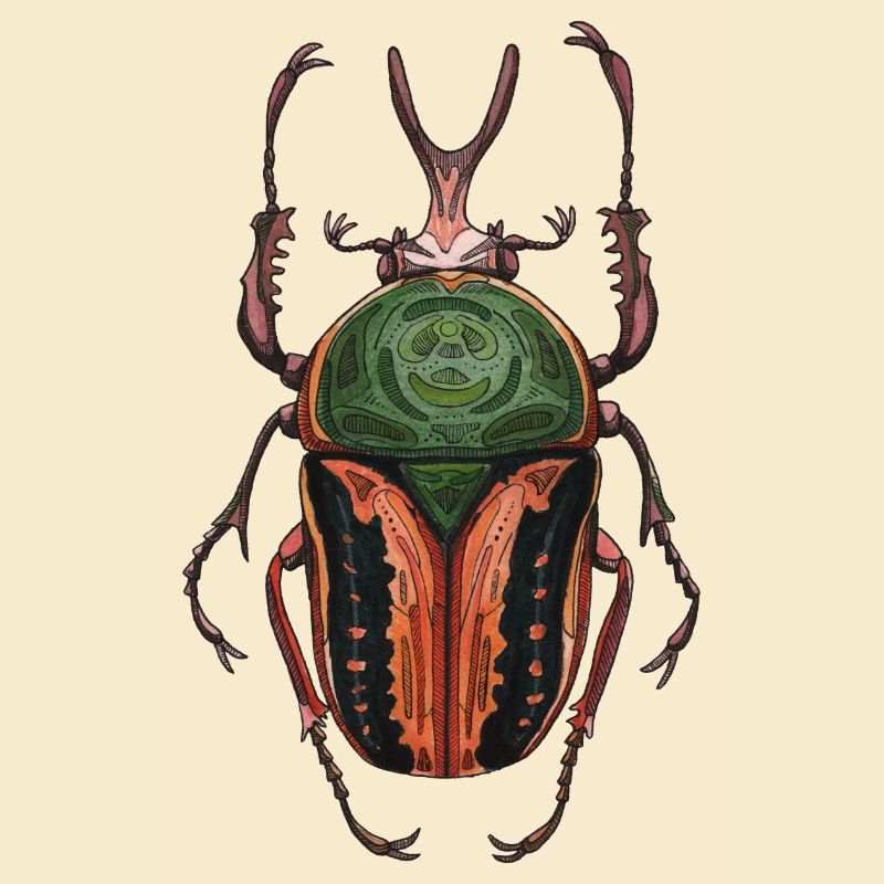 Big Beetle Stag - cerf géant