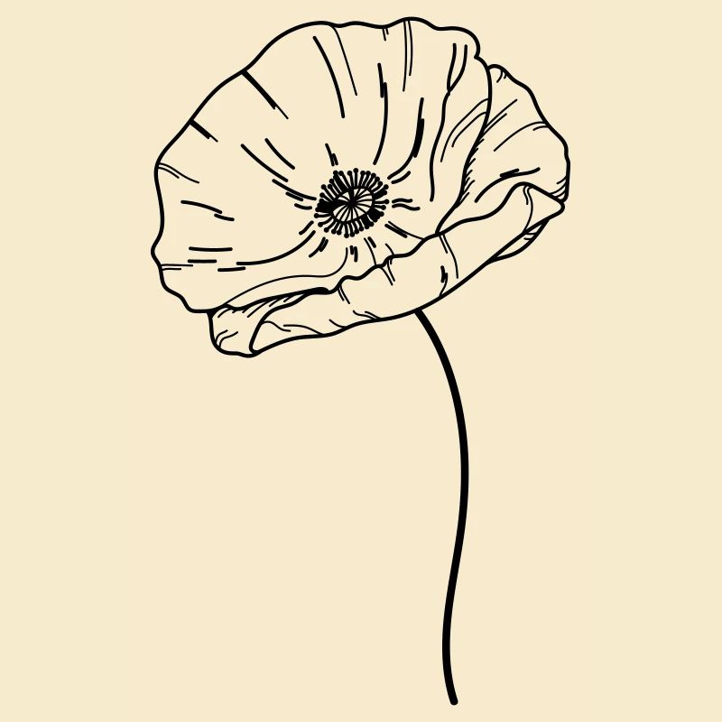 Fleur de coquelicot 21 Plan de travail 13