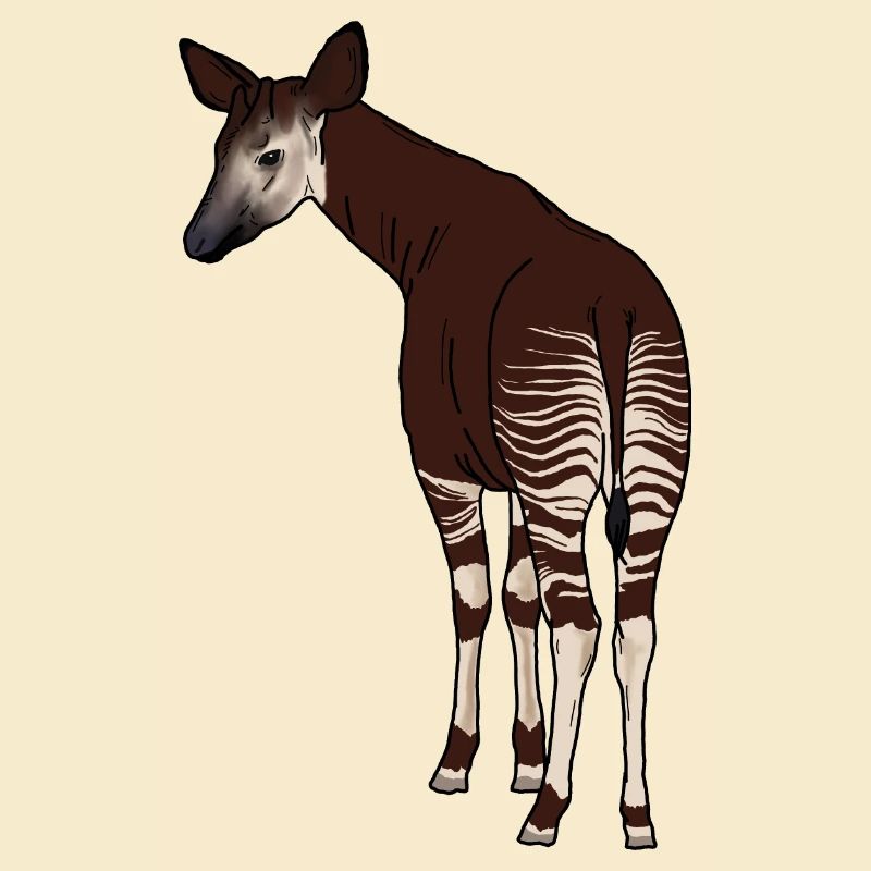 Okapi