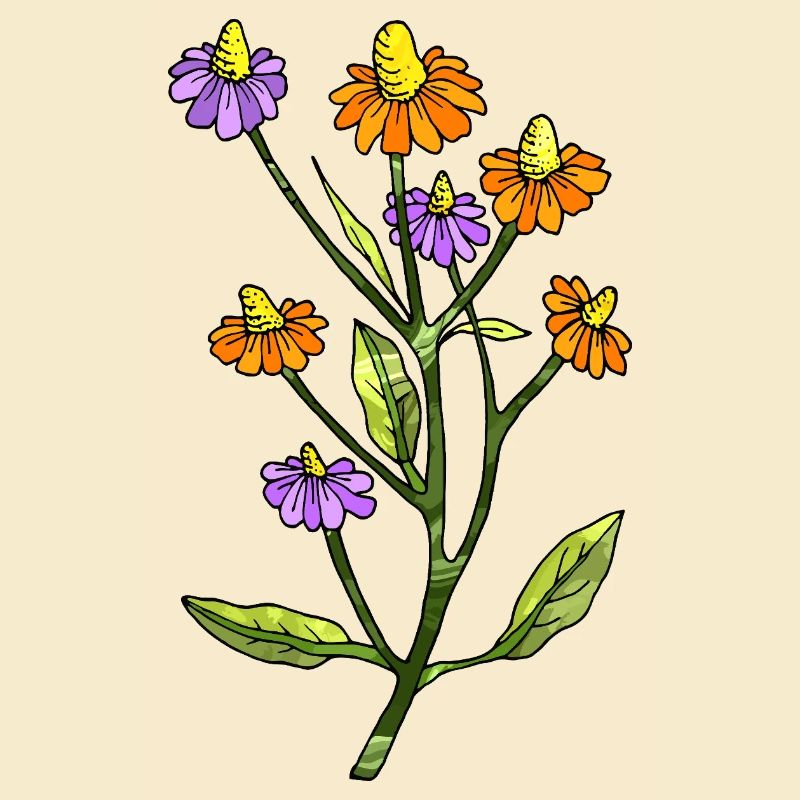 Blumen