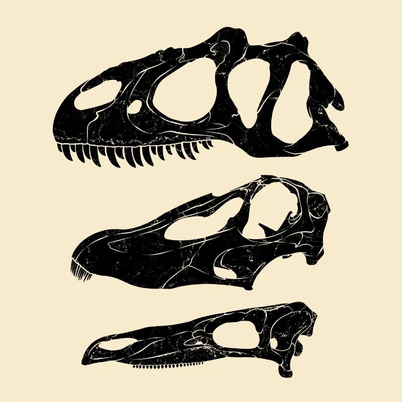 Allosaurus diplodocus stégosaure