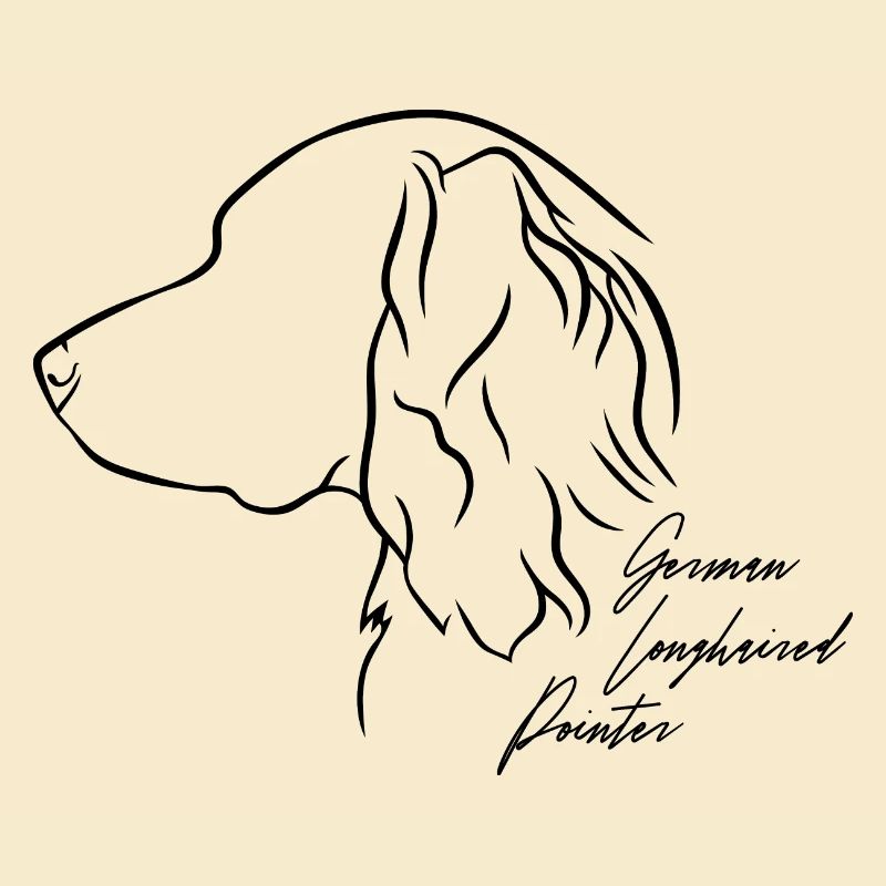 German Longhaired Pointer Profil Hunde Wilsigns