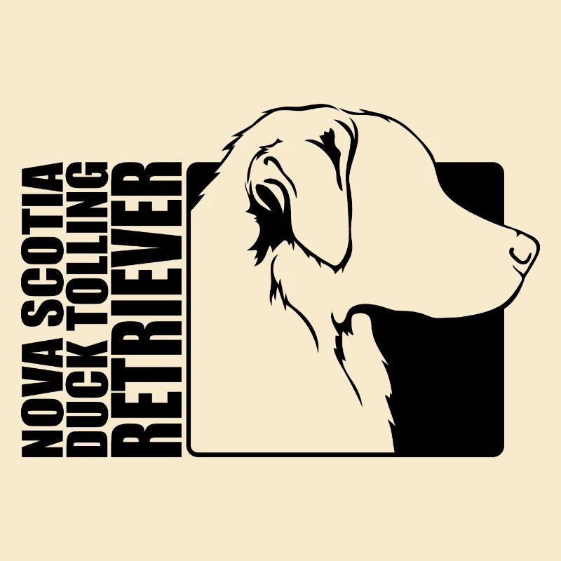 Nova Scotia Duck Tolling Retriever Profile Wilsigns