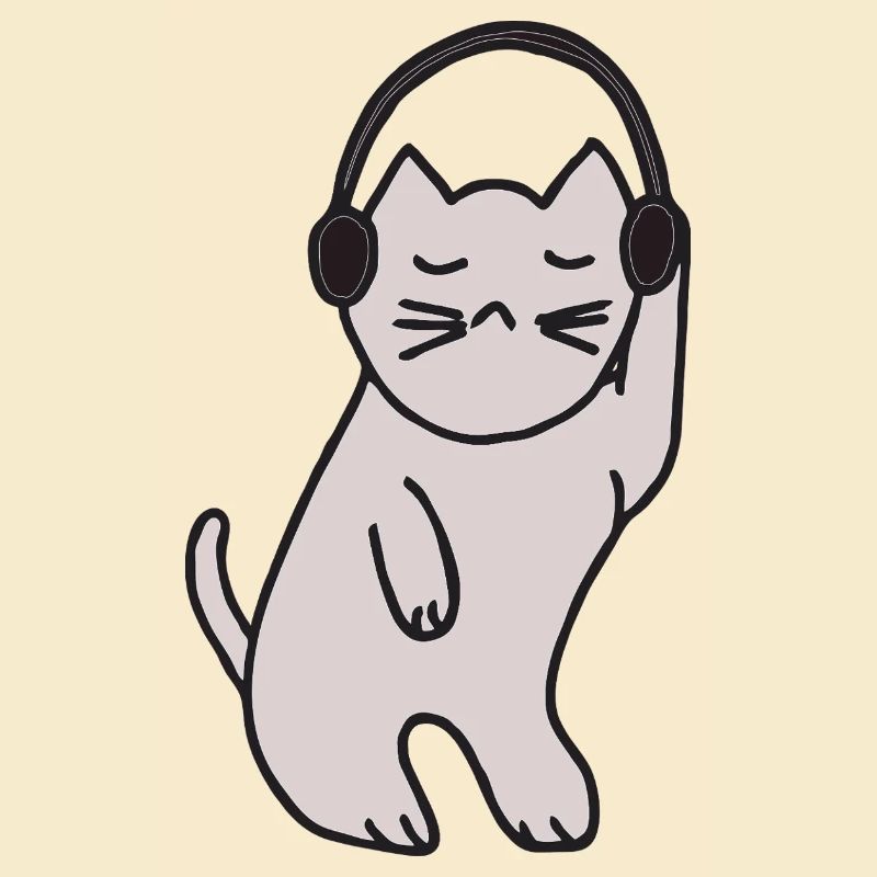 Reine disco chatte