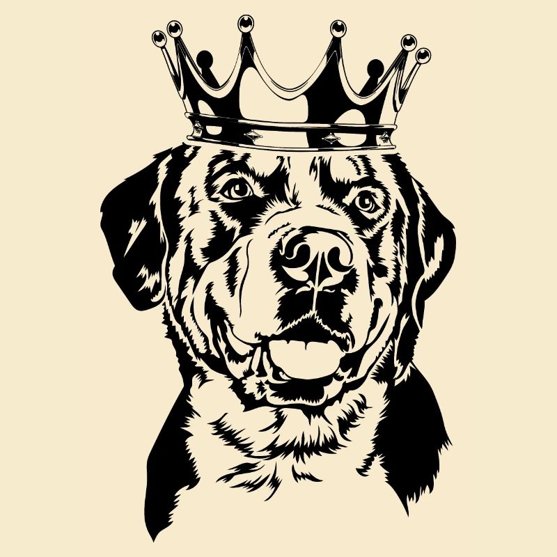 Grosser Schweizer Sennenhund Krone Hunde Wilsigns