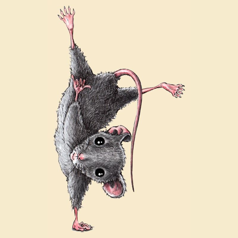 Mouse