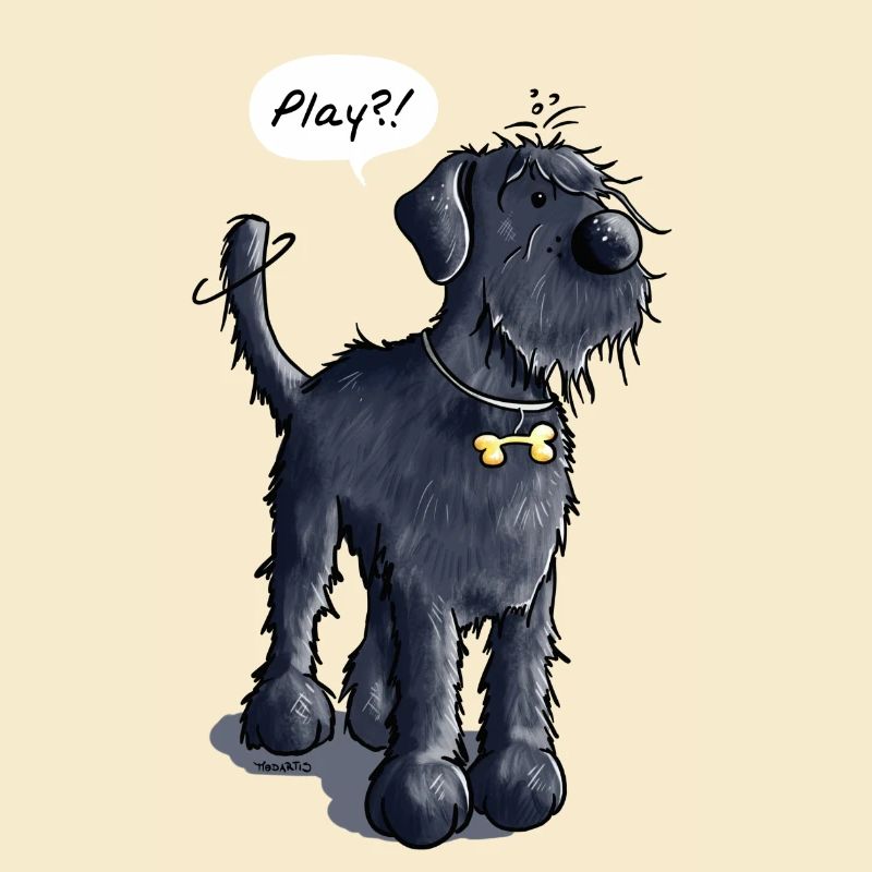 Schnauzer Géant Play - Chien - Chiens - Cadeau