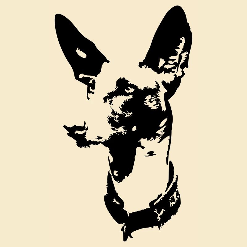 Tête de podenco
