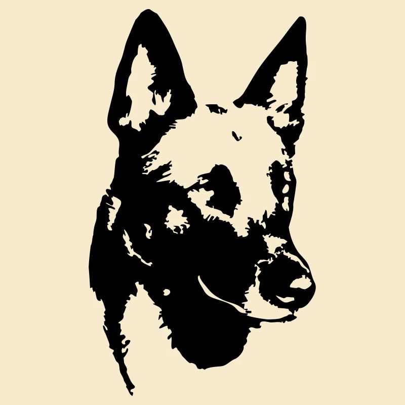 Malinois Kopf