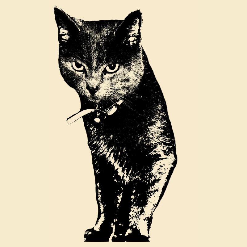 Katze Katzenshirt Geschenk