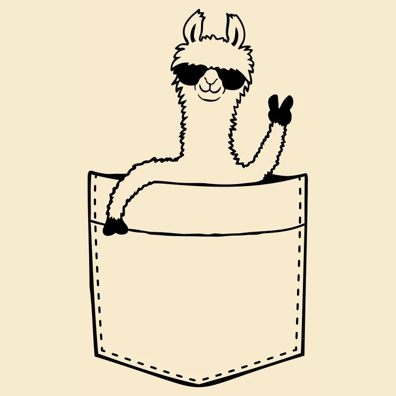 Sac chemise Comic Lama