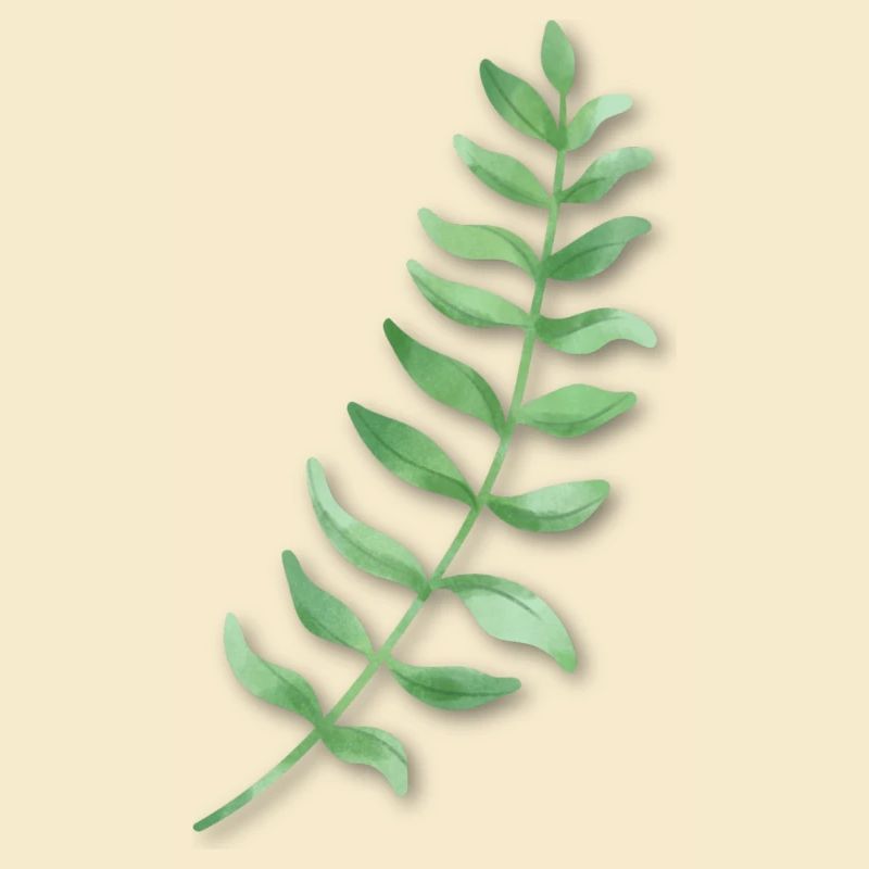 Blatt grün Efeu