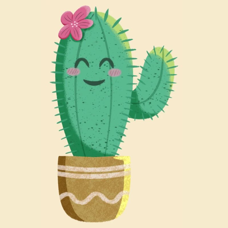 Cactus mignon avec fleur