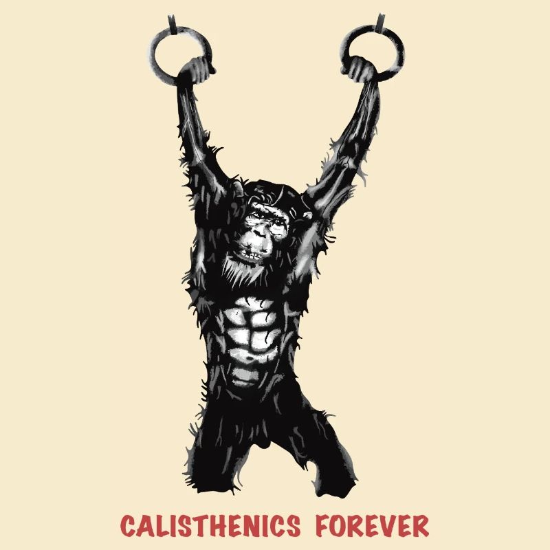 Calisthenics Evolution - Anneaux de gymnastique