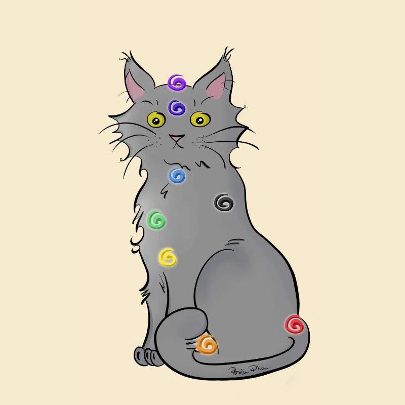 Chat-kra
