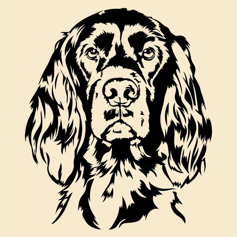 Irish Setter Jagdhund Jagdhunde Hunde Wilsigns