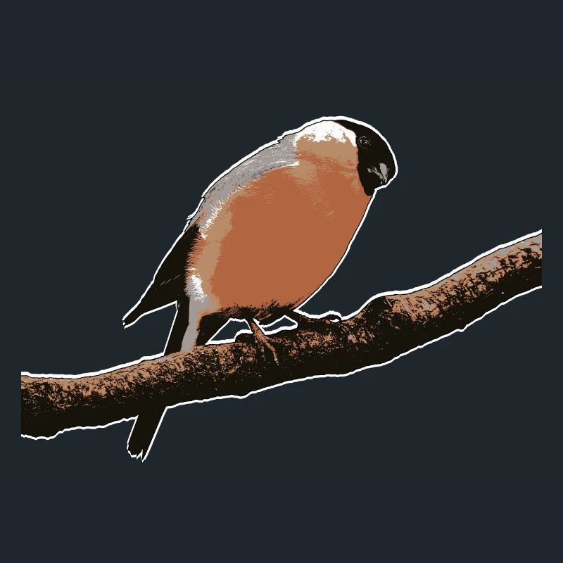 Bouvreuil mignon