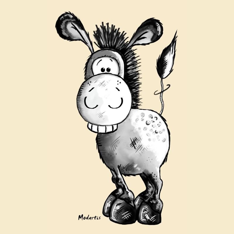 Drôle d'âne - Cheval - Animaux