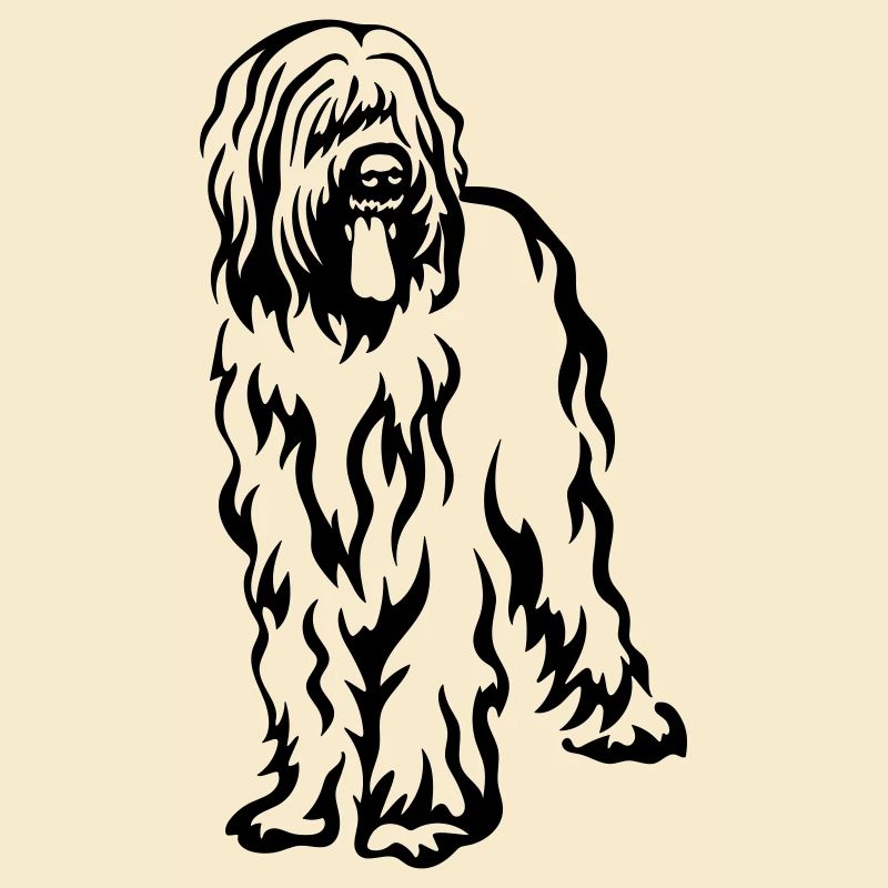 Briard