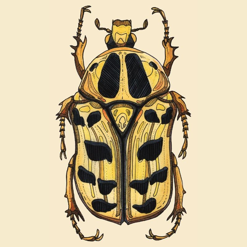 Big Beetle Stag - cerf géant