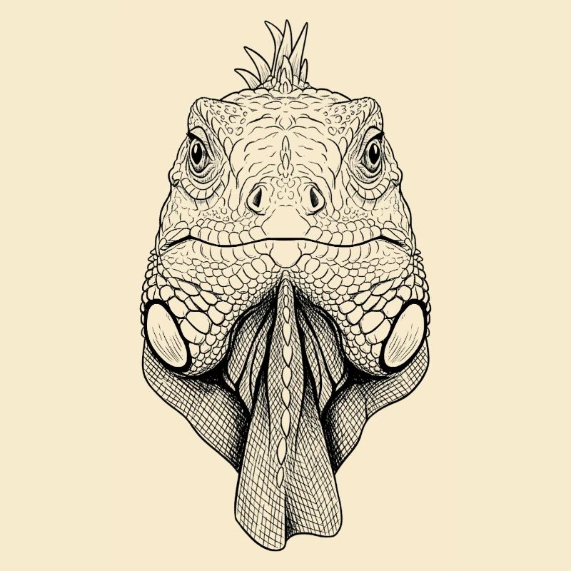 iguane