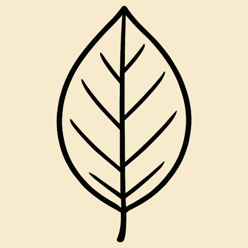 Conception minimaliste Leaf