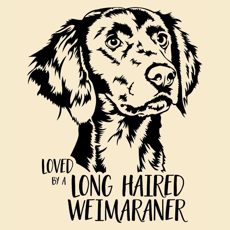 Loved by a Long Haired Weimaraner Hunde Wilsigns