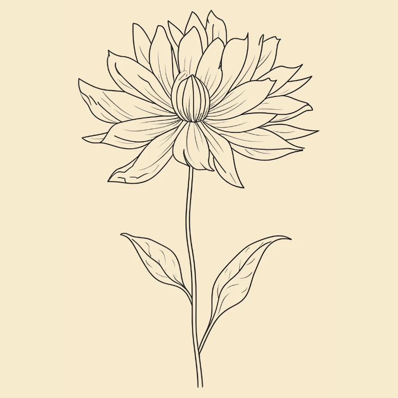 Fleur dessinée: dahlia