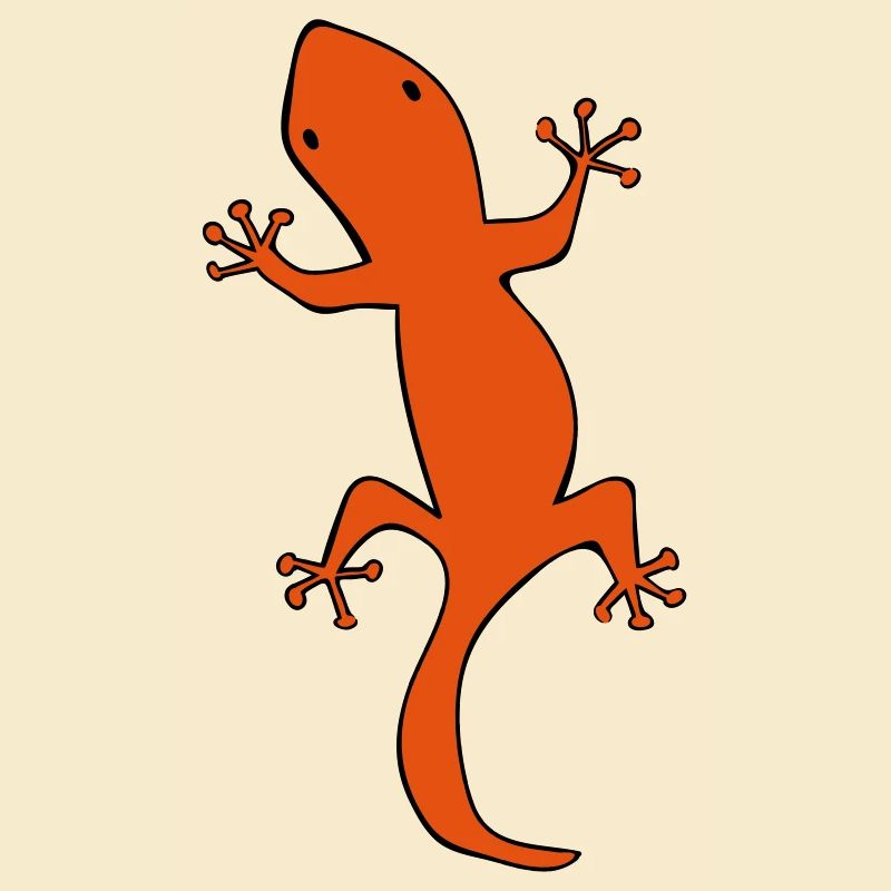 salamandre