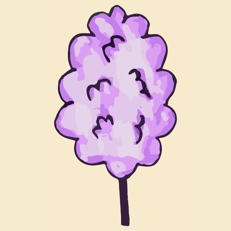 Barbe à papa violet