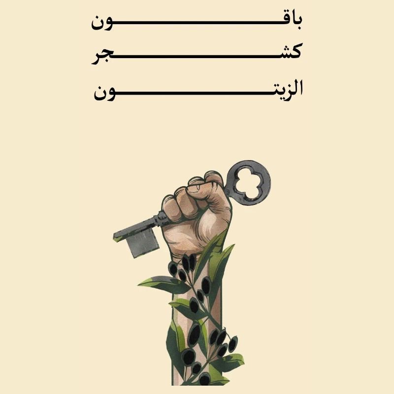 Solid like Oliven trees