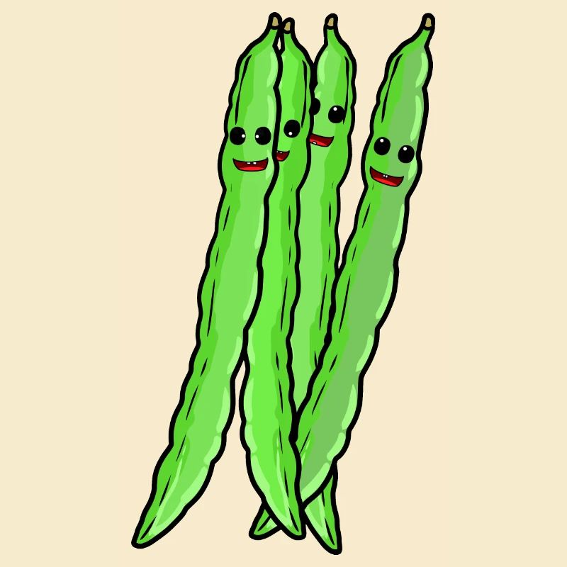 Haricots Haricots Légumes