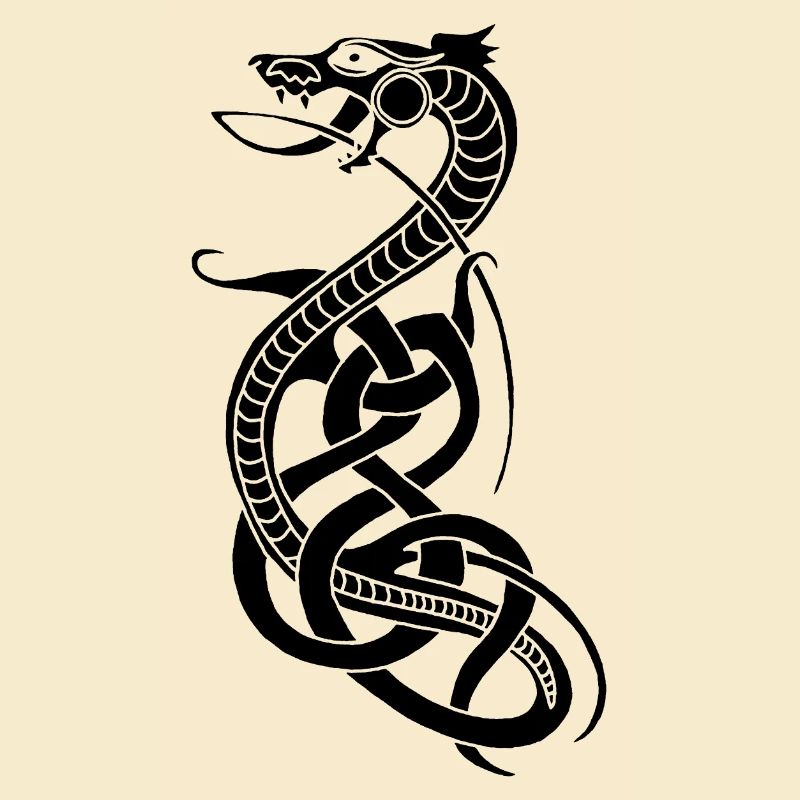 Serpent noir infini