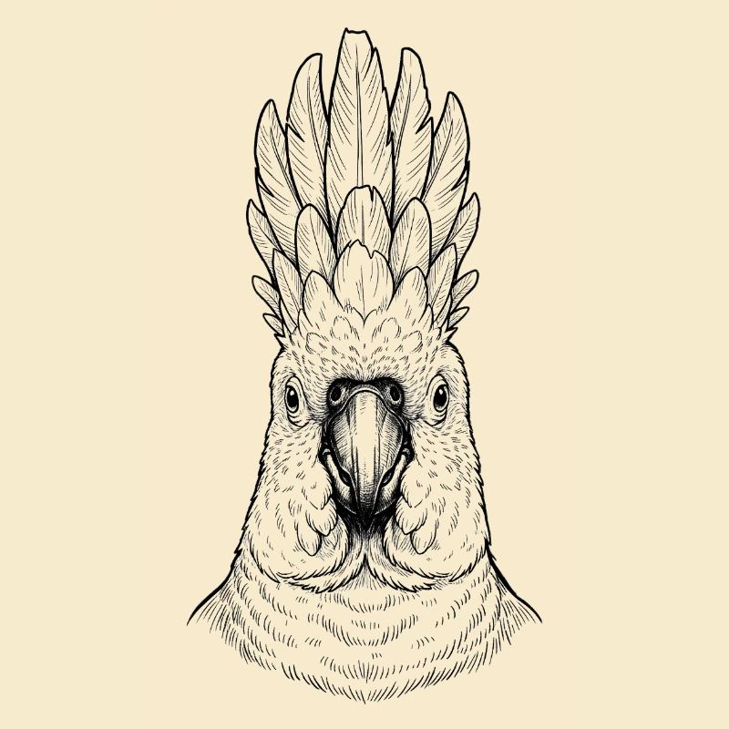 Cacatoès