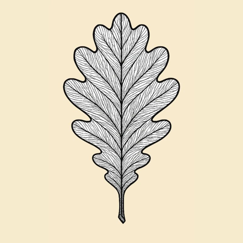 Monochromes Eichenblatt-Design