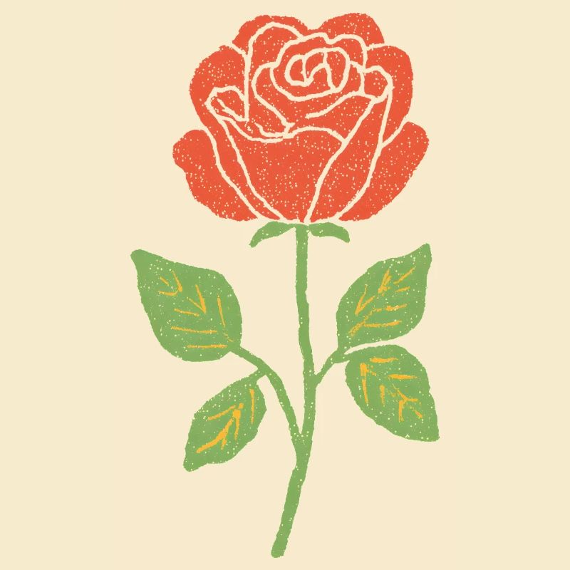 Red Rose Line Illustration