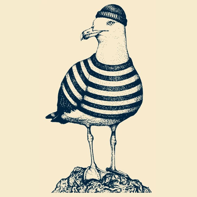 Möwe mit Pulli