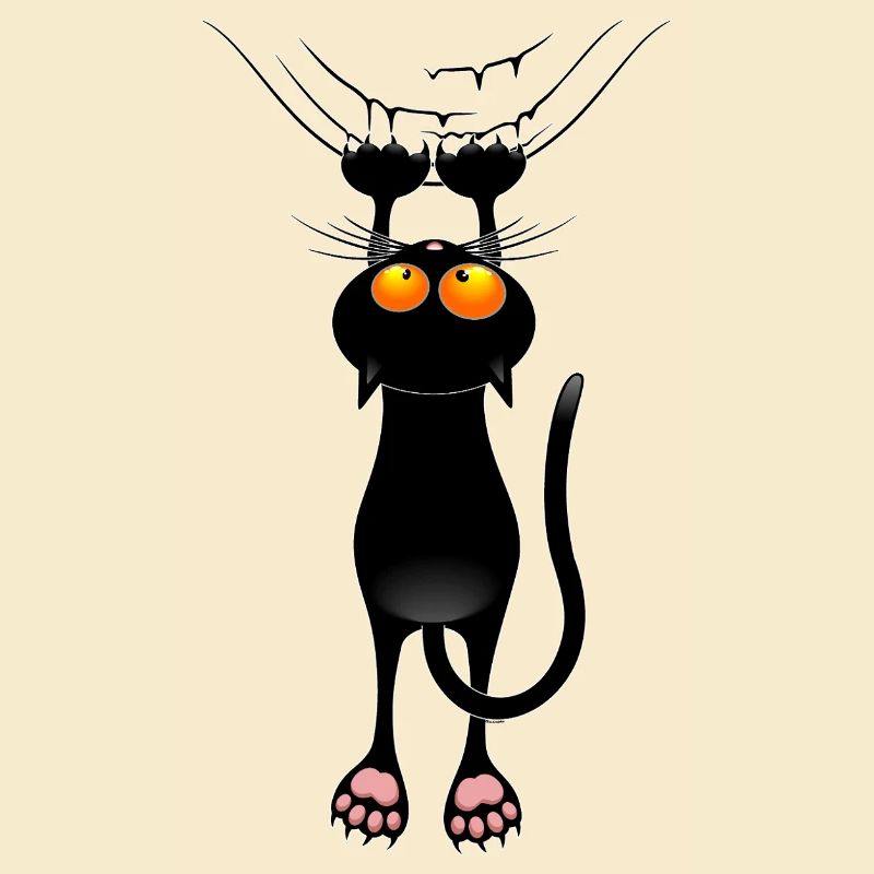 Funny Cat Meme Hanging on Fabric Curtain