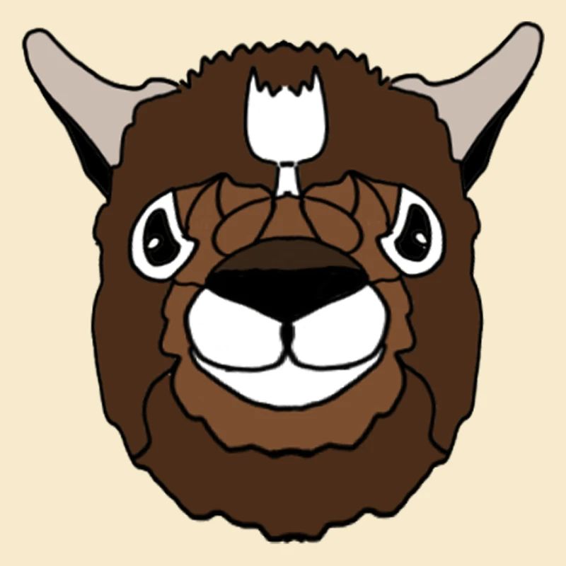 Lama Kopf