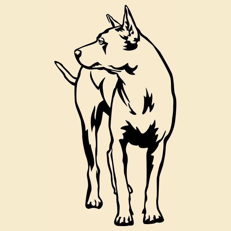 Thai Ridgeback