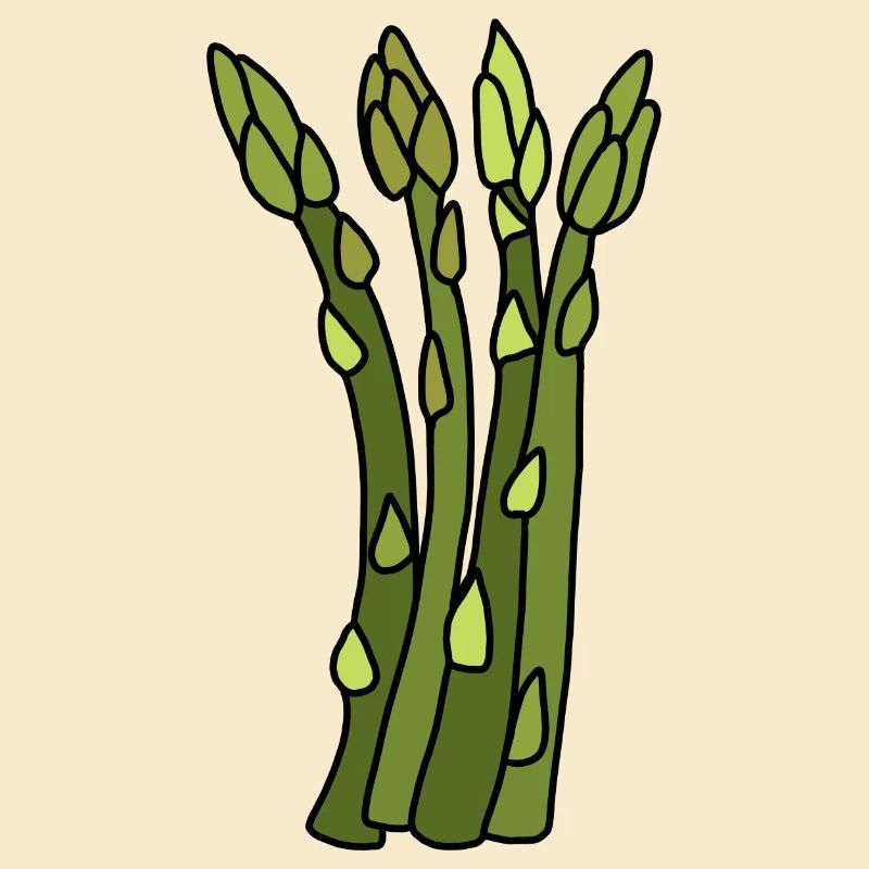 Temps des asperges