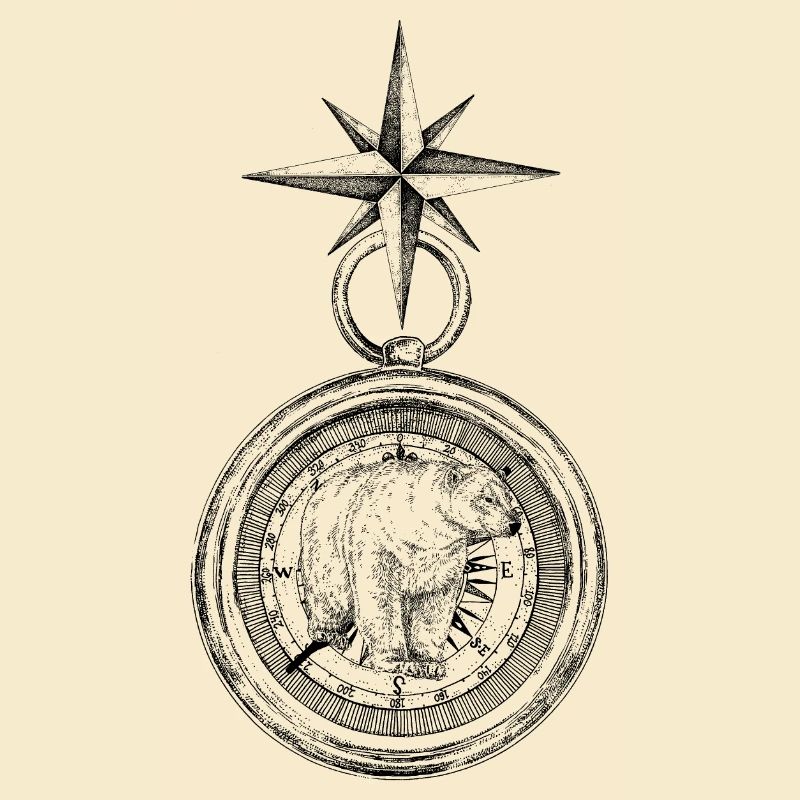 ARCTIC COMPASS