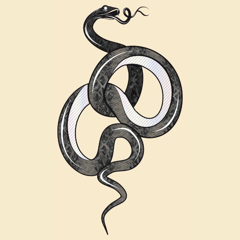 Fascinating snake in black glossy structure