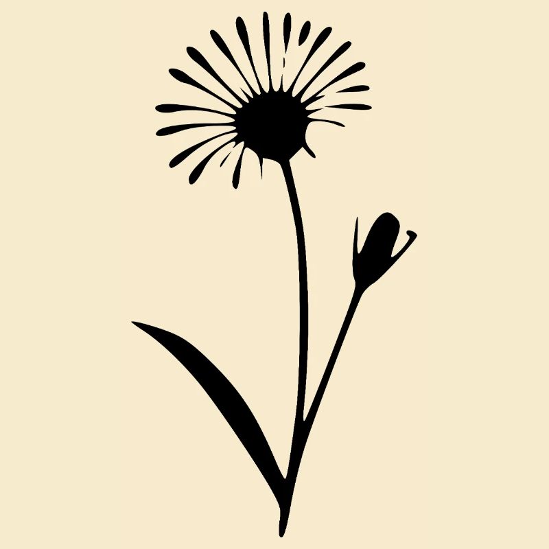 Fleurs de pissenlit Fleurs fleur Fleurs sauvages Herbes