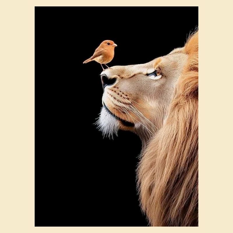 Löwe mit Vogel auf der Nase