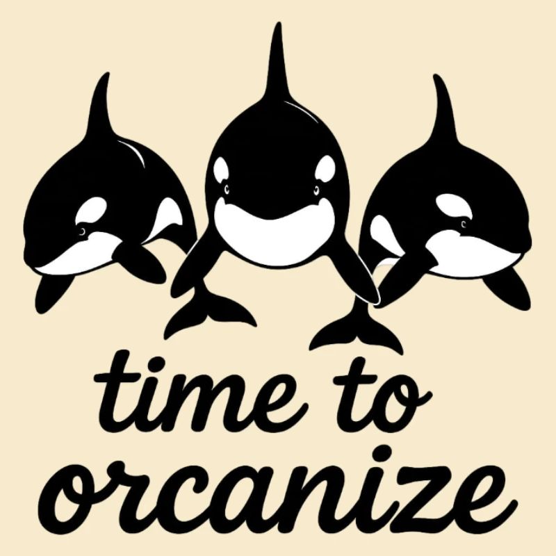 orcaniser