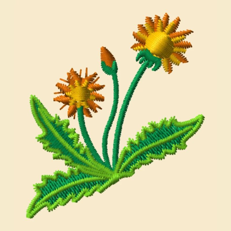 Dandelion