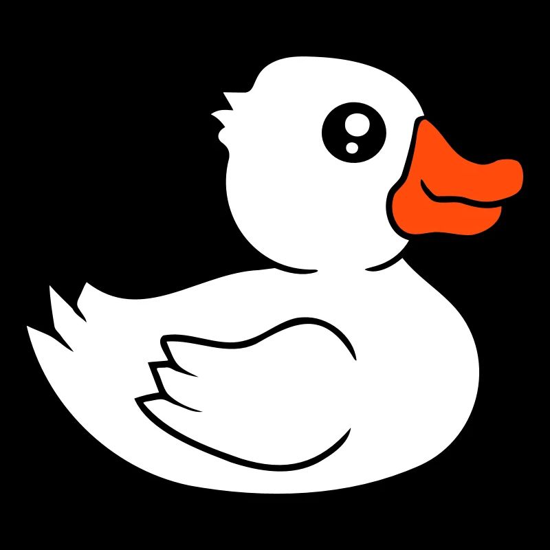 Canard Baignades Lac Rivière Eau Mer Vacances Plaisir