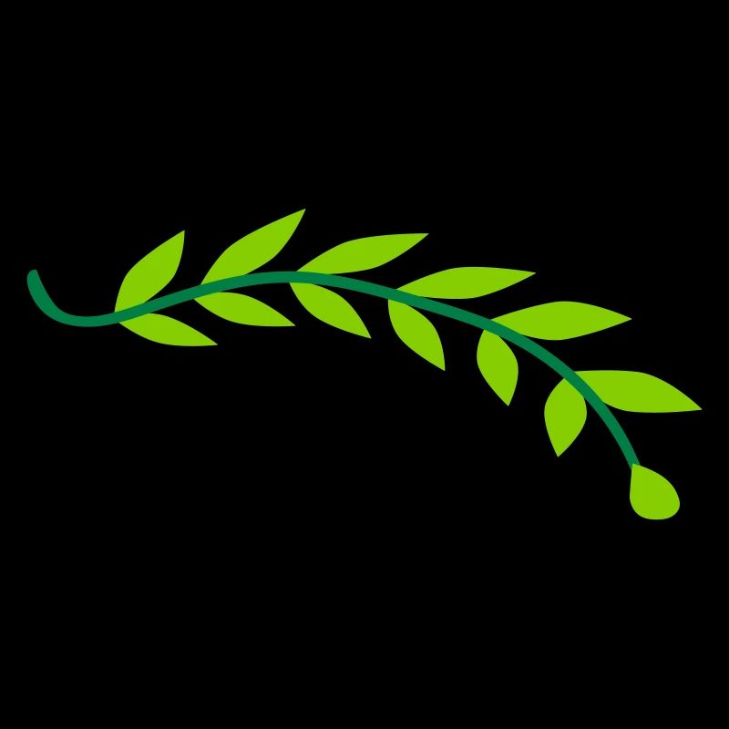 Branche de feuille de laurier végétal